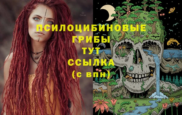 мяу мяу мука Алзамай