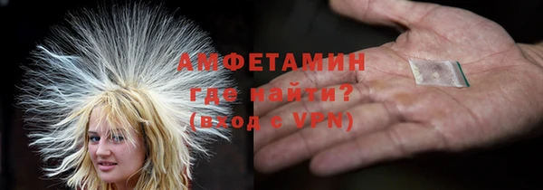 хмурый Алексин