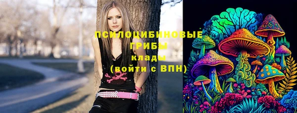 хмурый Алексин