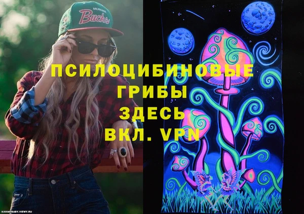 хмурый Алексин