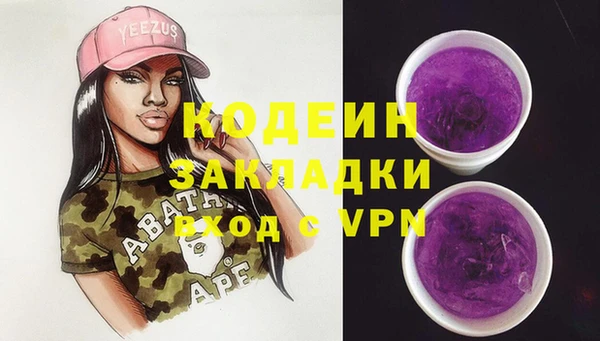 хмурый Алексин