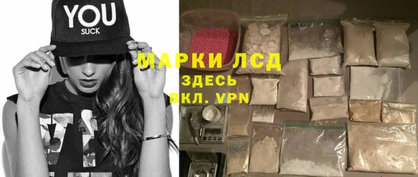 хмурый Алексин