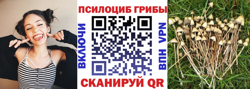 цены Усть-Лабинск Псилоцибиновые грибы прущие грибы